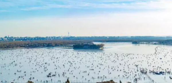 北京滑冰場(chǎng)