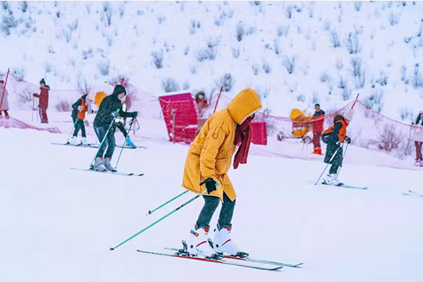 1640847407694988.jpg 446565.jpg